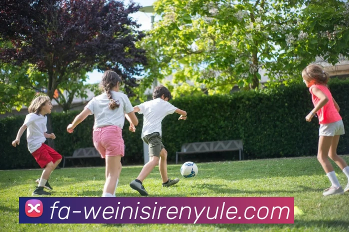 威尼斯人娱乐官网平台生态图